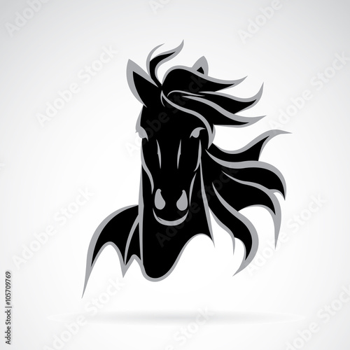 Vector of a horse face design on white background. Animal.
