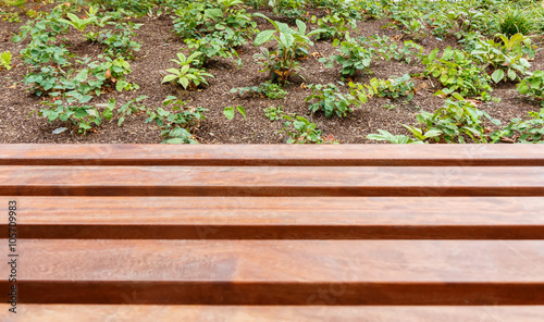 Blurry empty wooden bench with natural background