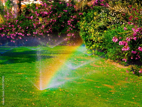 Watering  sprinkler  lawn