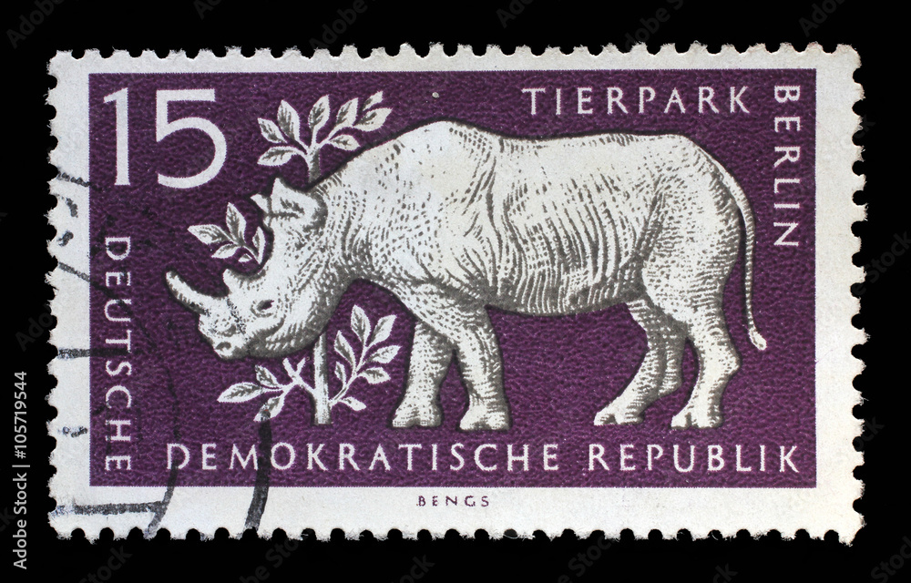 Naklejka premium Stamp printed in GDR shows Rhinoceros, Berlin, German Zoological Garden, circa 1956