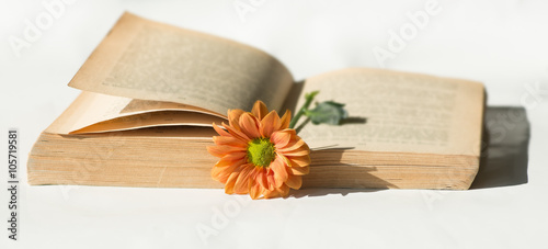 Stara książka z brązowymi kartkami i pomarańczowy kwiat.