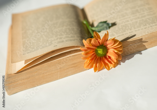Stara książka i kwiat.