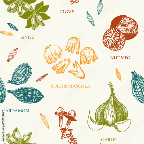 Seamless vector pattern with hand drawn spices and herbs sketch. Decorative vintage spice background.