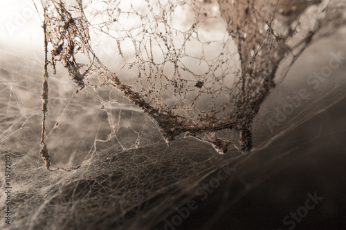 old cobwebs on the wall as background