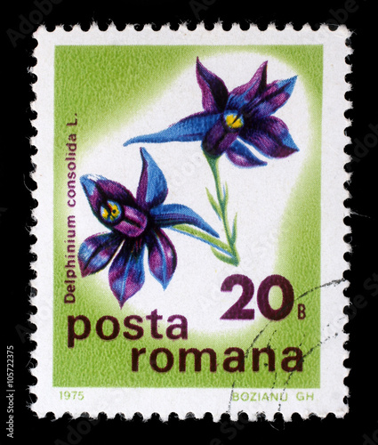 Stamp printed in Romania shows Larkspur or Delphinium, series, circa 1975