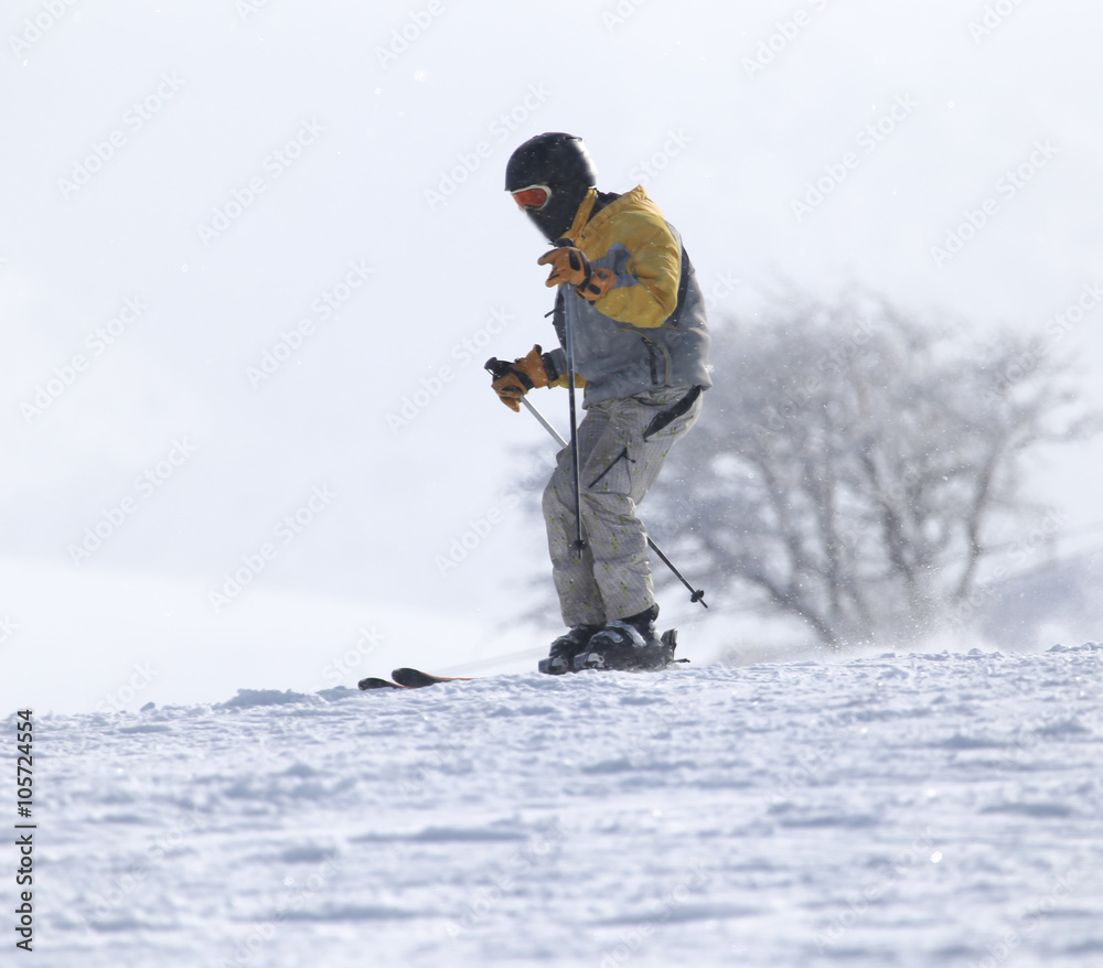 people skiing in the winter