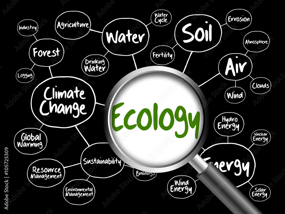 Ecology Mind Map Flowchart Concept With Magnifying Glass For Presentations And Reports Stock 7731