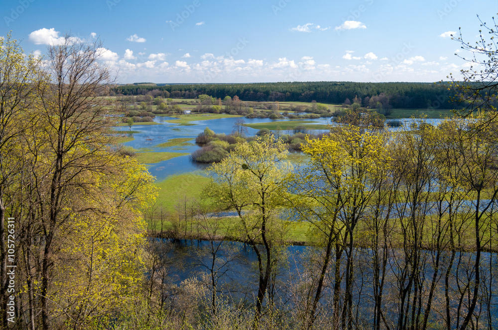 Fototapeta premium Spring flood.