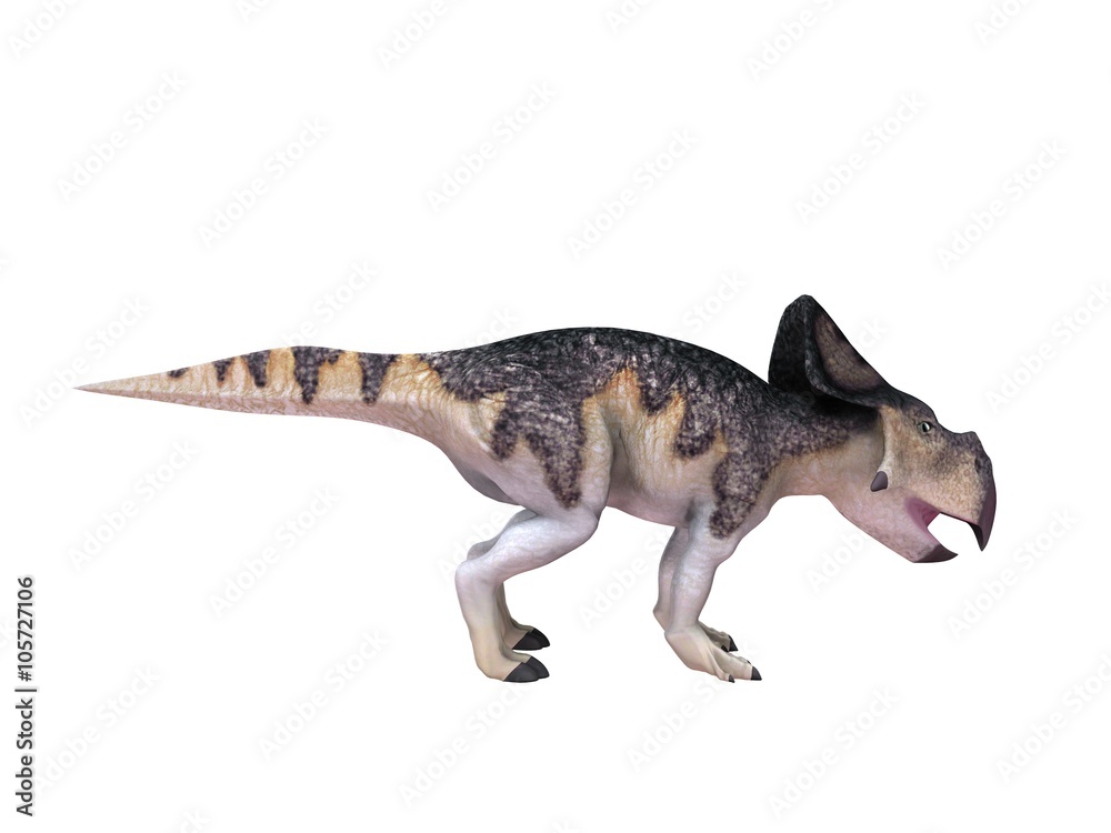 Fototapeta premium 3d render of a Dinosaur inside a white stage