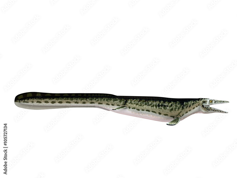 3d render of a crocodile inside a white stage 3d render of a crocodile inside a white stage