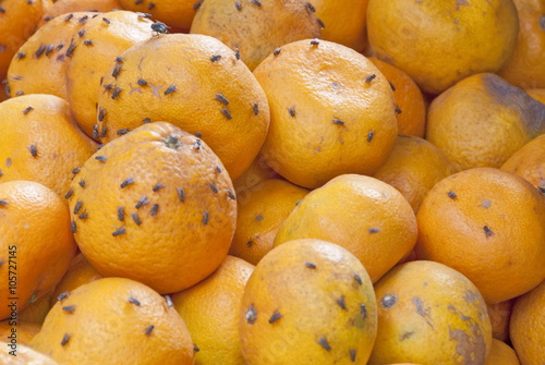 Rotten oranges in a market of Mui Ne, Vietnam.