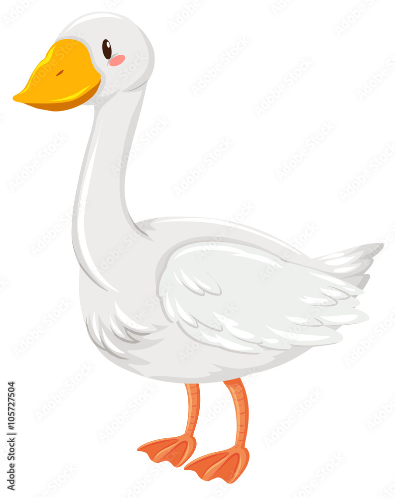 Goose with happy face Goose with happy face