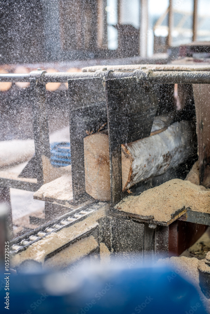Woodworking plant. Sawdust flying from sawing logs