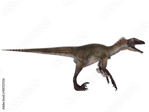 3d render of a Dinosaur inside a white stage