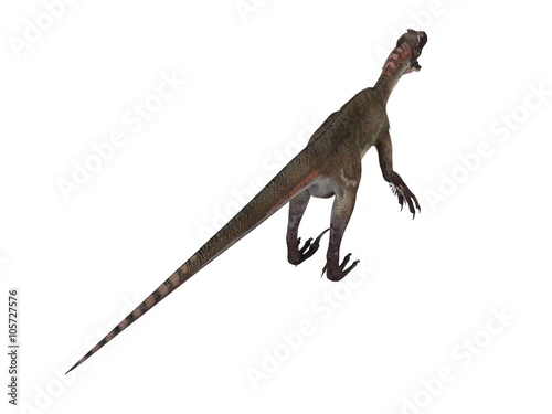 3d render of a Dinosaur inside a white stage