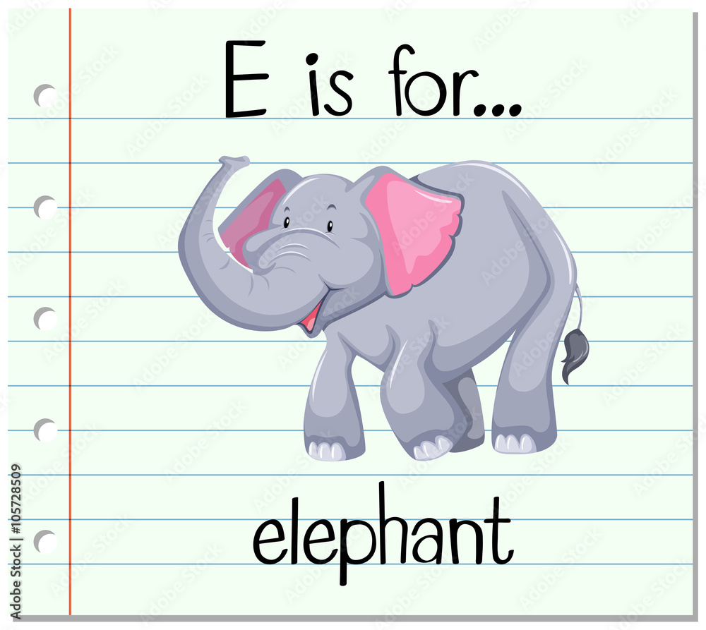 Obraz premium Flashcard alphabet E is for elephant