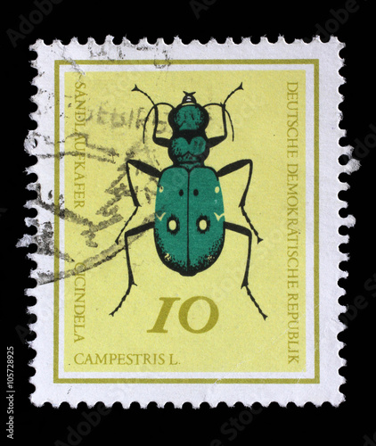 Stamp printed in Germany from the Useful Beetles issue shows Green Tiger beetle (Cicindela campestris), circa 1968.