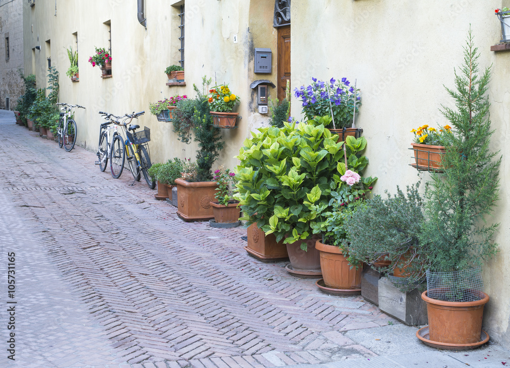 flowers on the street in Tuscany city in Italy