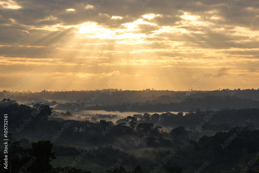 Sunrise view of Amazon Rainforest