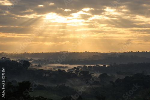 Sunrise view of Amazon Rainforest