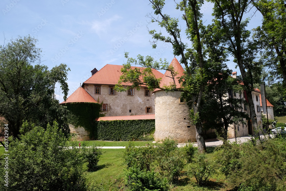 Otocec Castle, near Novo Mesto town, Lower Carniola region, Otocec, Slovenia 