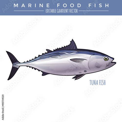 Tuna. Marine Food Fish