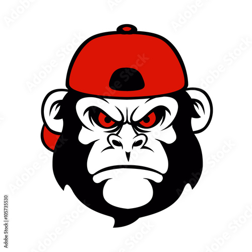 chimpanzee in a cap 