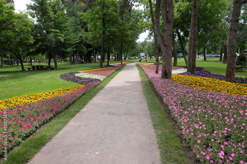 Flowers in park