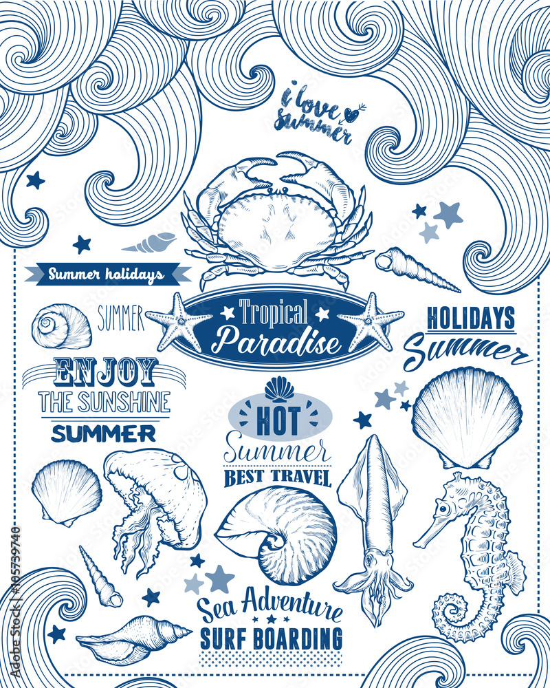 Fototapeta premium Set of Summer Element. Calligraphic Label, Seashell, Flower. Hand Drawn Style. Typographic Design for Logo or Label. Summer Holiday. Tropical Paradise, Best Tour, Beach Party, Bon Voyage