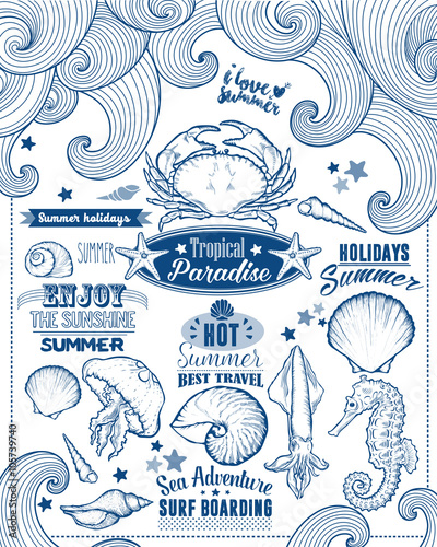 Set of Summer Element. Calligraphic Label, Seashell, Flower. Hand Drawn Style. Typographic Design for Logo or Label. Summer Holiday. Tropical Paradise, Best Tour, Beach Party, Bon Voyage