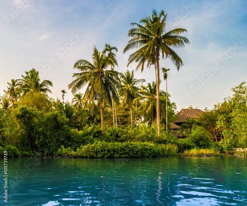 Palm trees on sea shore at beautiful sunny day. Image of tropical vacation and sunny happiness. Serene summer photo.