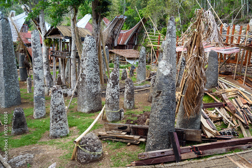 Ceremony site with megaliths. Bori Kalimbuang. Tana Toraja. Indonesia photo