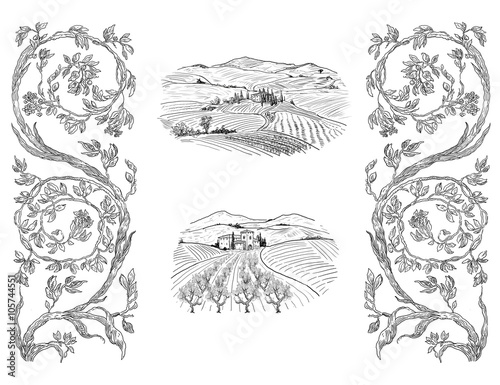 Wine illustration art illustration
