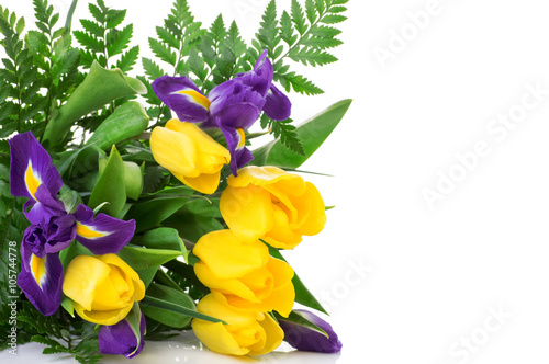 bunch of yellow tulips and blue irises on white background