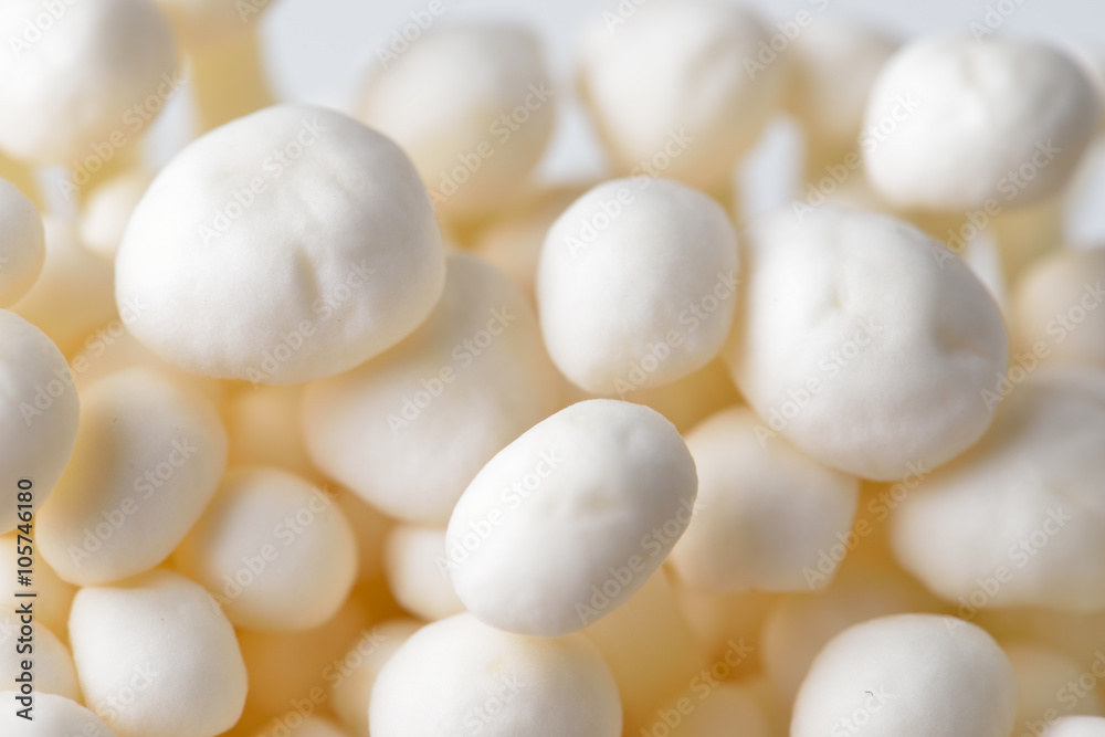 Enoki mushroom, Golden needle mushroom Enoki mushroom, Golden needle mushroom