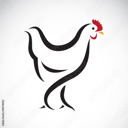 Vector image of an chicken design on white background
