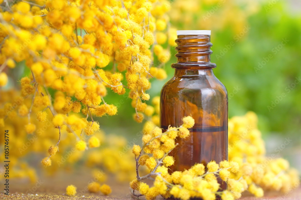 Mimosa essential aroma oil Mimosa essential aroma oil