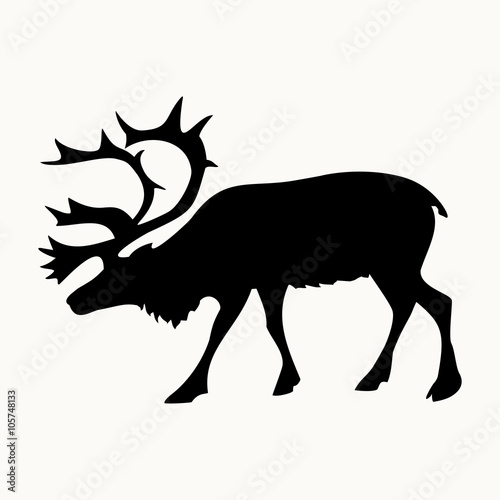 deer image