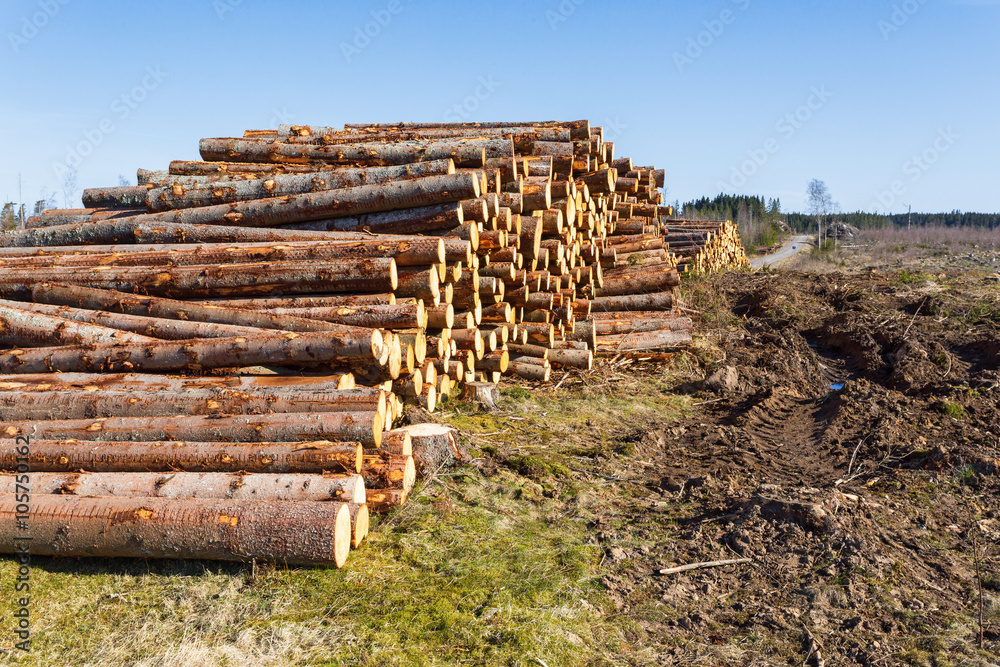 Timber Stack at a clearcut area Timber Stack at a clearcut area