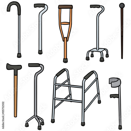 vector set of walking stick