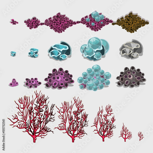 Big set of corals and underwater plants for design 