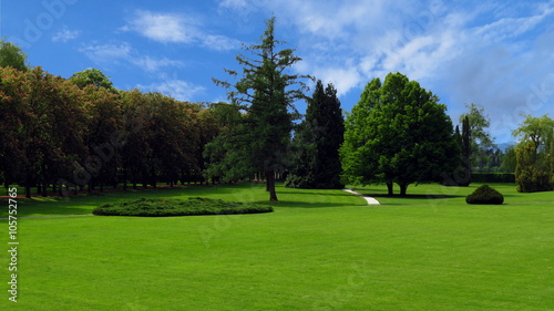Trees in green park © ommbeu