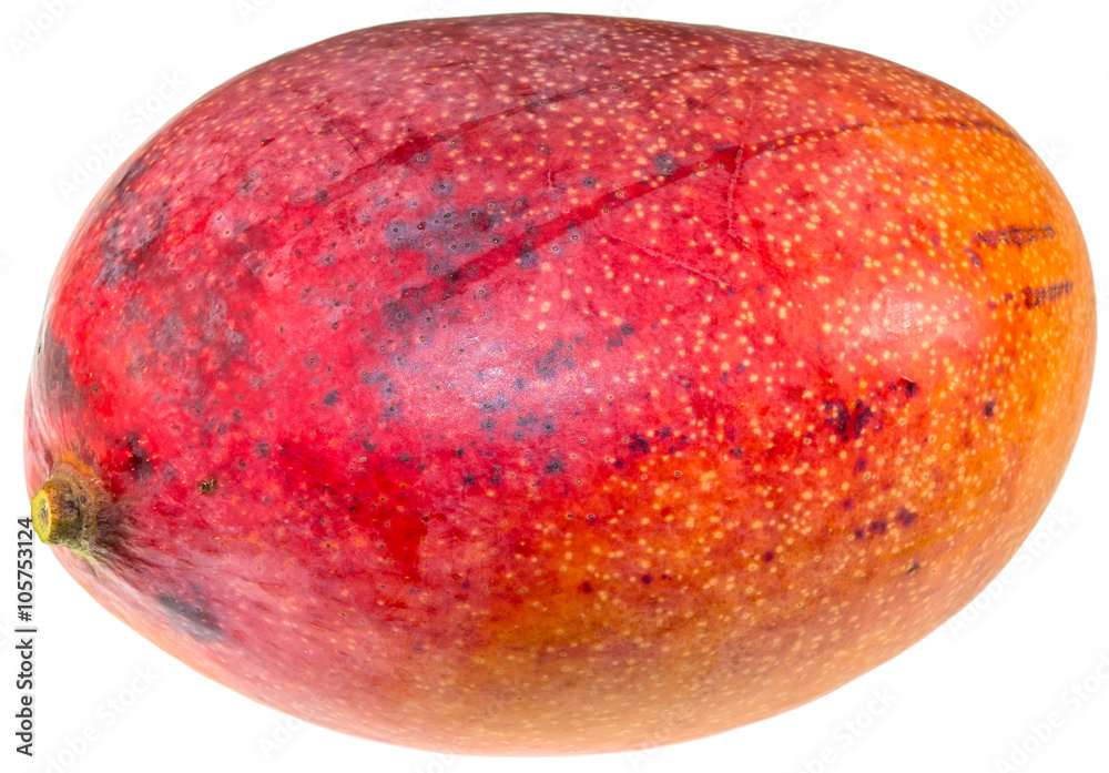 Fototapeta premium mangue sur fond blanc 