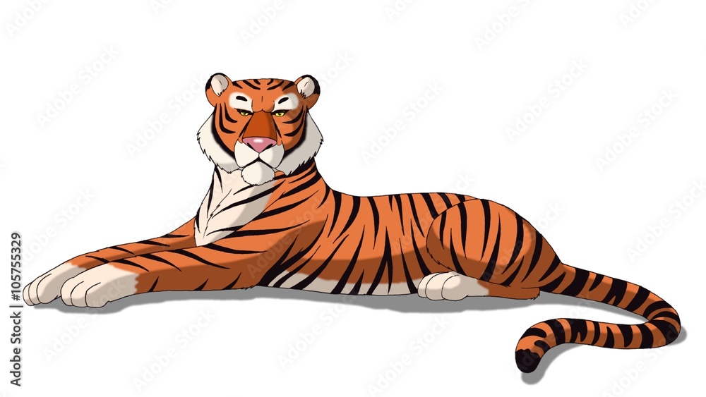 Bengal Tiger Isolated on White Background