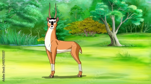 Antelope (Gazelle) Image