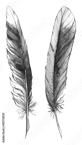 Wallpaper Mural Watercolor black and white monochrome feather set isolated Torontodigital.ca