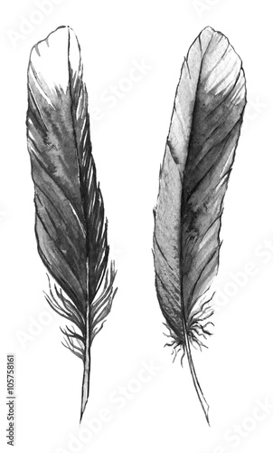 Wallpaper Mural Watercolor black and white monochrome feather set isolated Torontodigital.ca