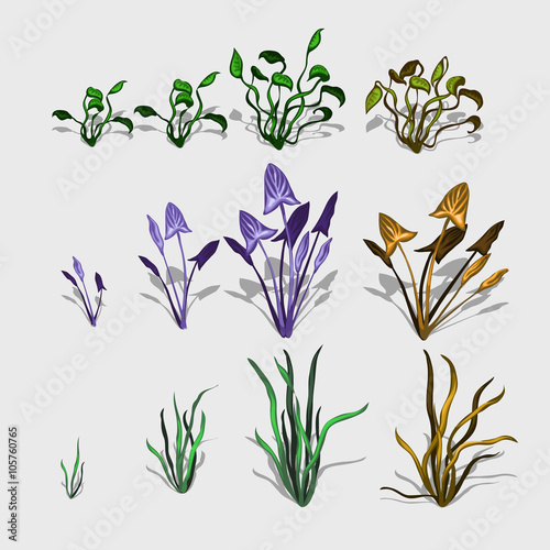 Fancy different plants and grass, big vector set