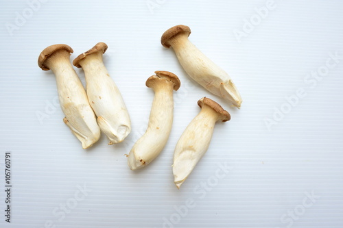 King Oyster mushroom (Eringi)