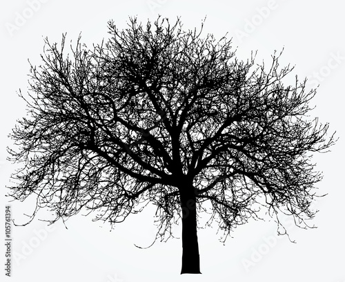 tree 201603170 2048